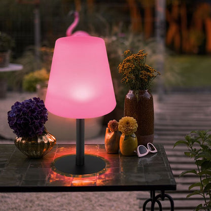 Minimalist LED Table Lamp