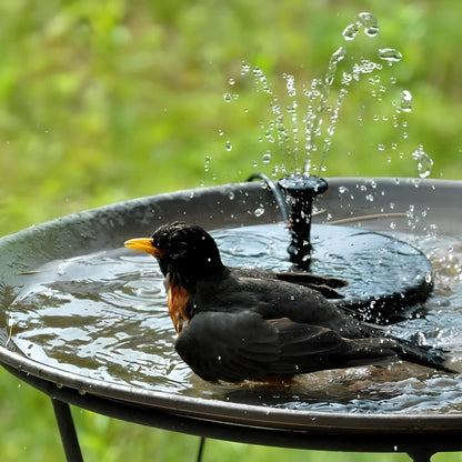 Solar Water Fountain with LED Lights
