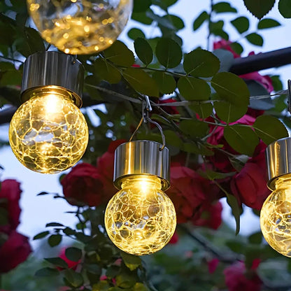 Solar Glass Lantern Light