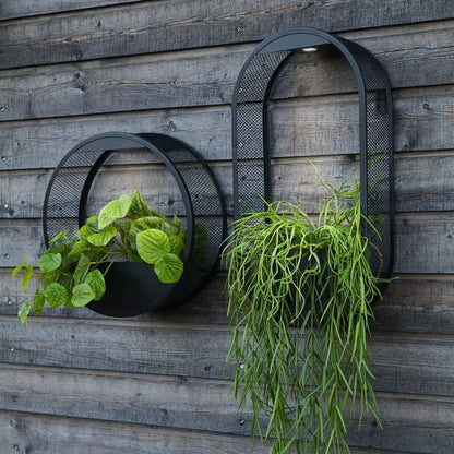 Solar Planter Wall Light