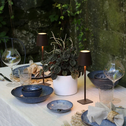 Rechargeable Cordless Table Lamp