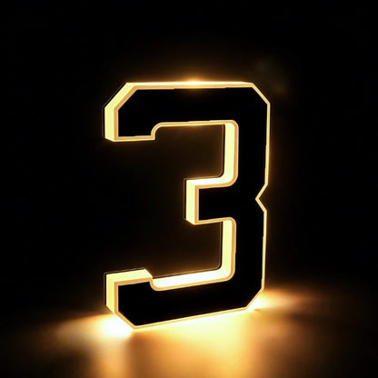 Solar House Number Light
