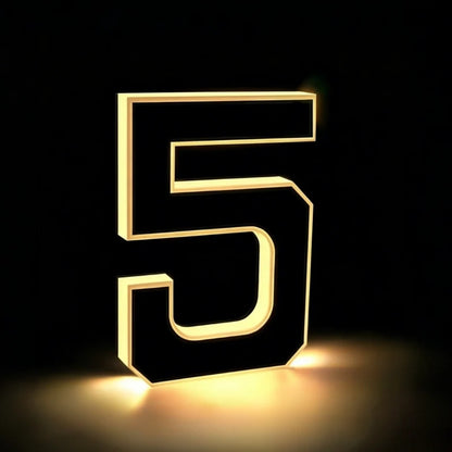Solar House Number Light