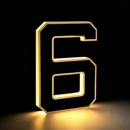 Solar House Number Light