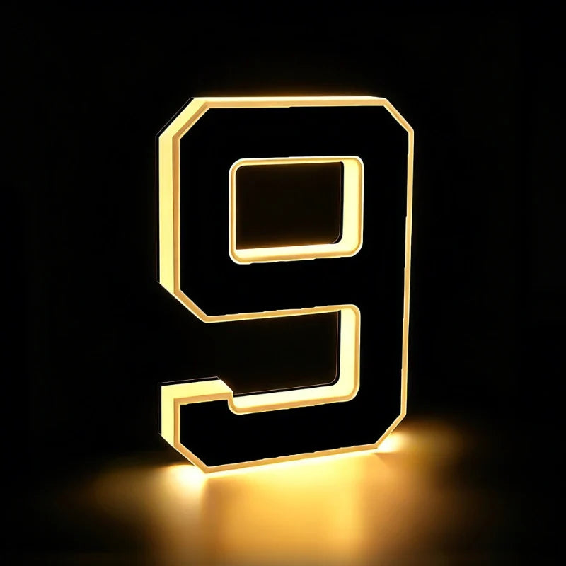 Solar House Number Light
