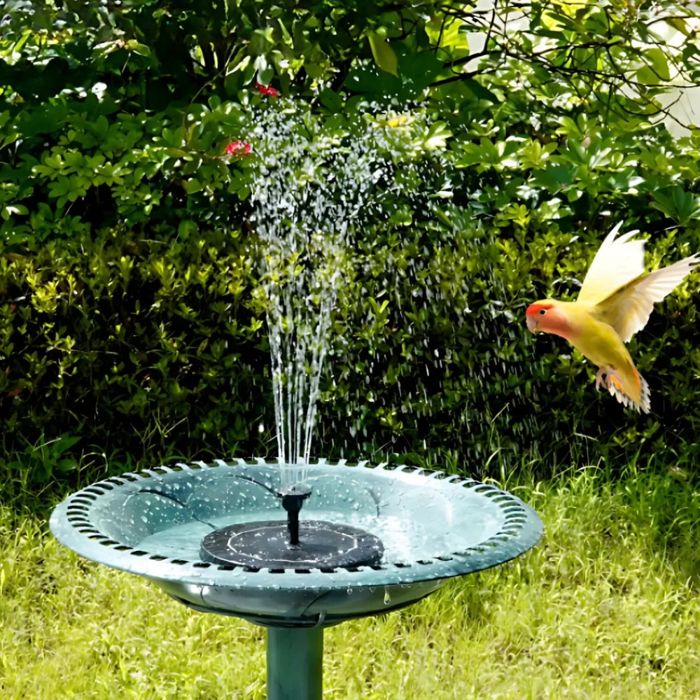 Solar Water Fountain with LED Lights