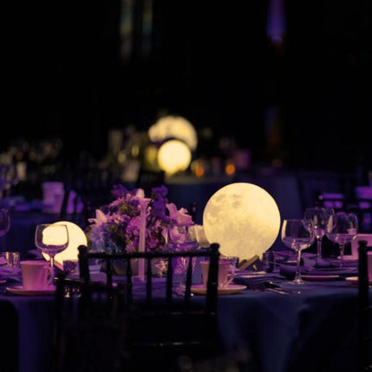 Solar Moon Garden Light