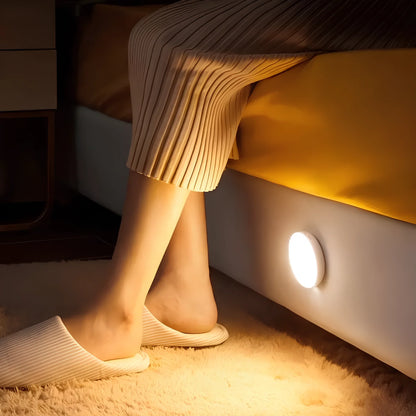 Rechargeable Motion Sensor Light