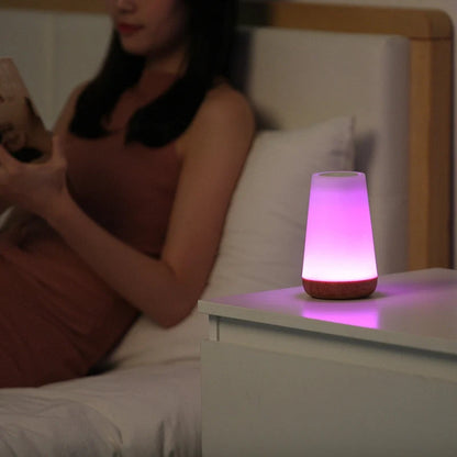 Color Changing Touch Night Light