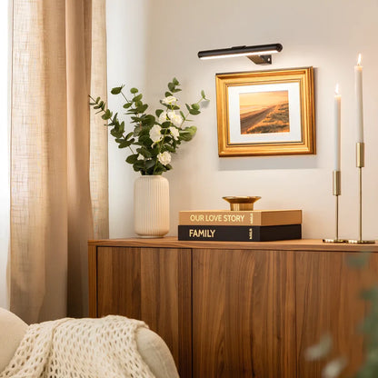 Rechargeable Picture Light