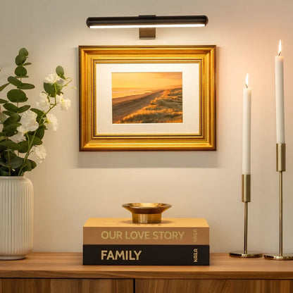 Rechargeable Picture Light