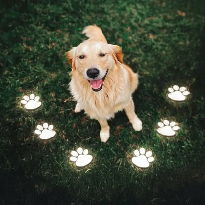 Solar Paw Garden Light