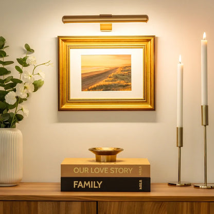 Rechargeable Picture Light